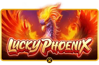 phdrem live casino dealer streaming baccarat table for Philippines players on mobile